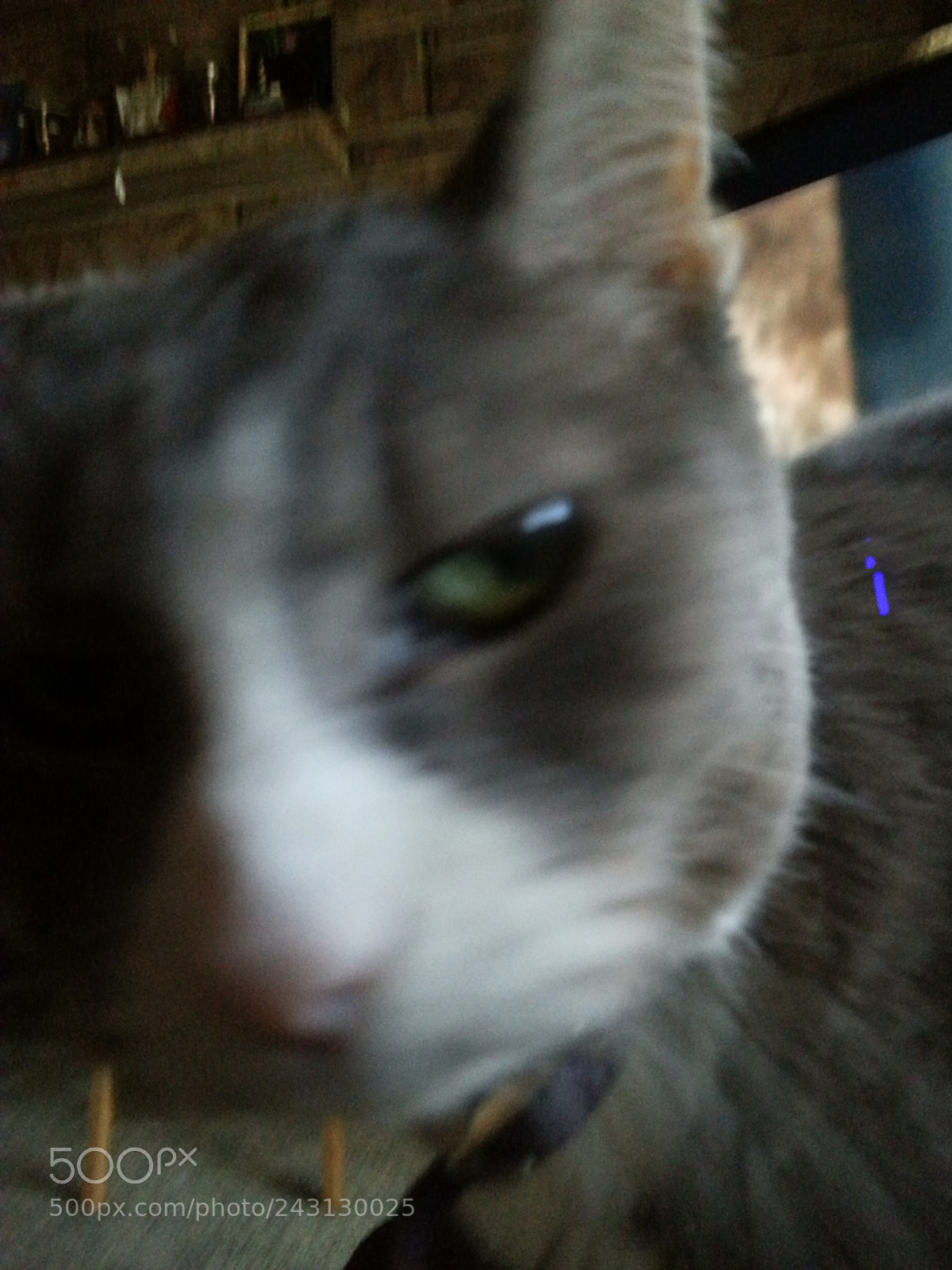Samsung Galaxy S3 sample photo. Untitled photography