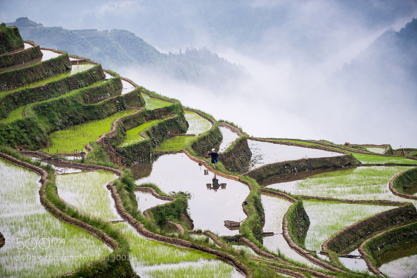 Nikon D810 sample photo. Jiabang terraces photography