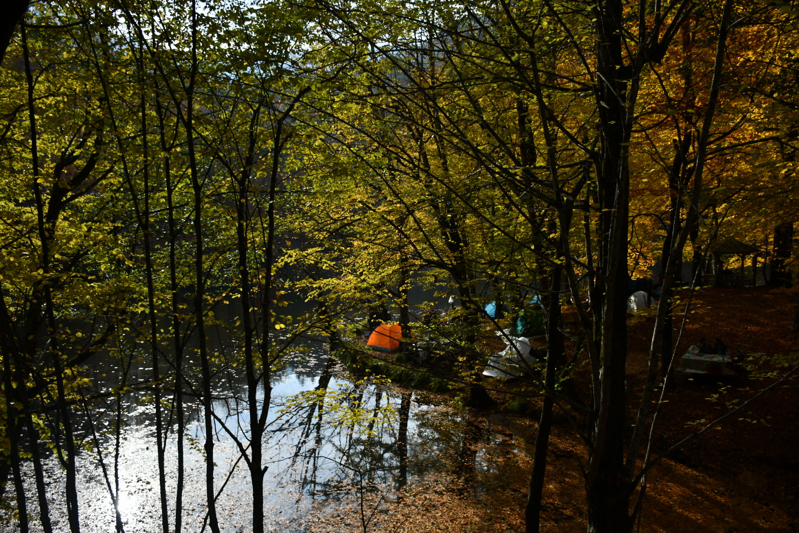 Nikon D7500 sample photo. Still camping photography