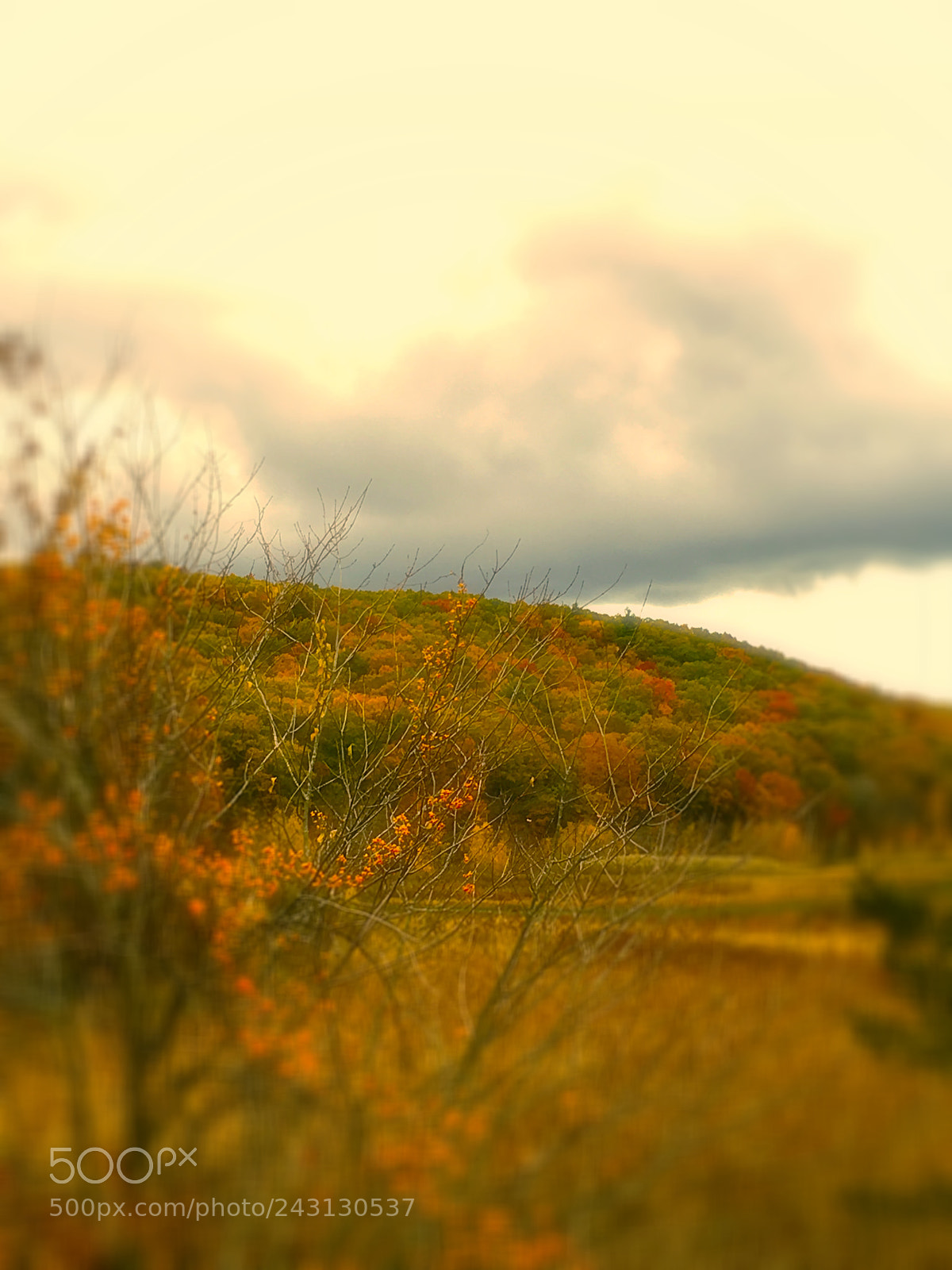 Apple iPhone 6s sample photo. Fall foliage by the photography