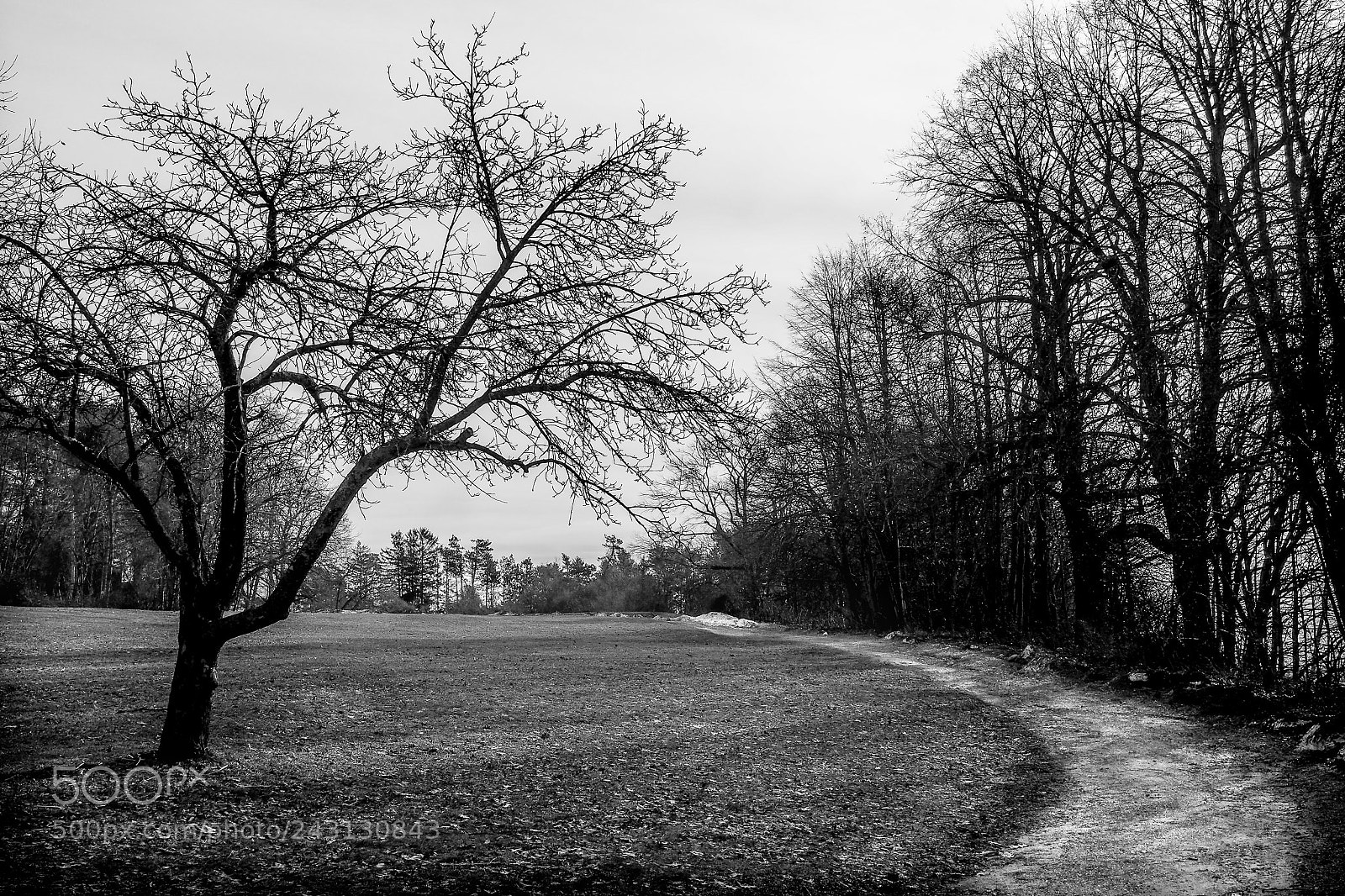 Olympus OM-D E-M10 II sample photo. Distant drive photography