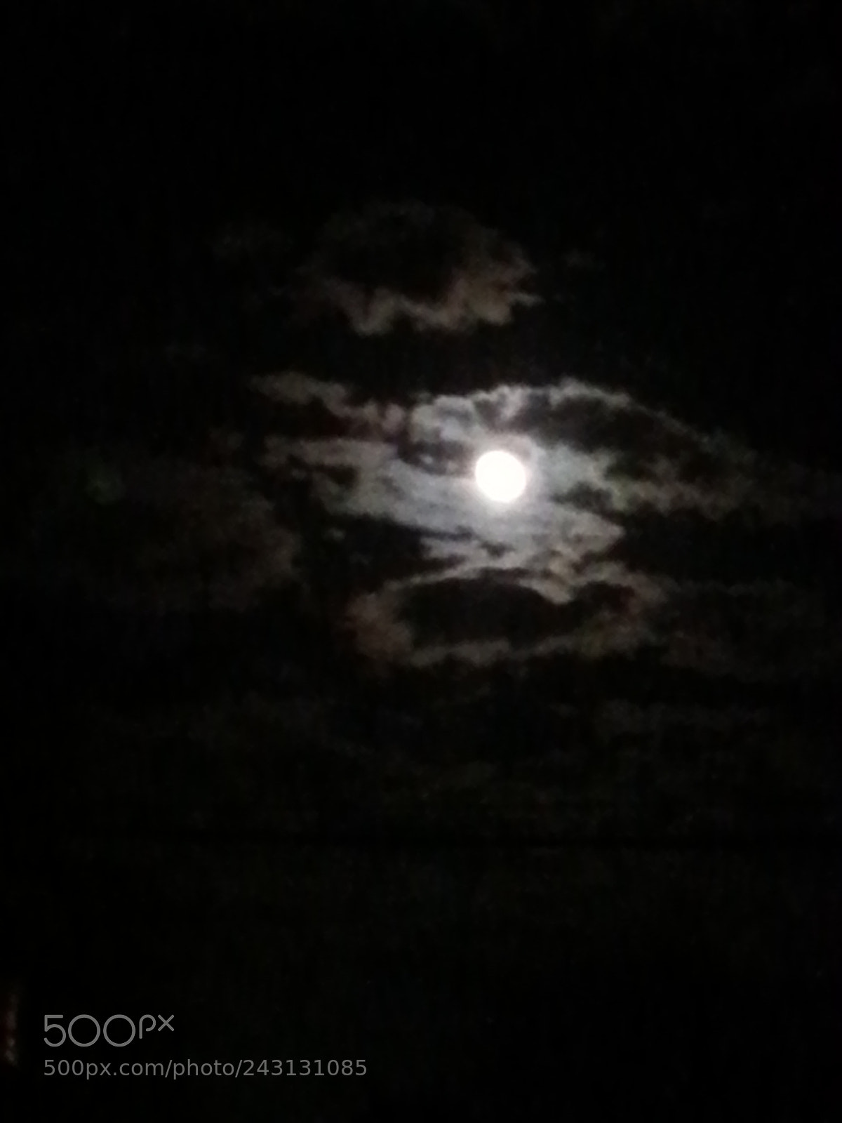 Samsung Galaxy S3 sample photo. Untitled photography