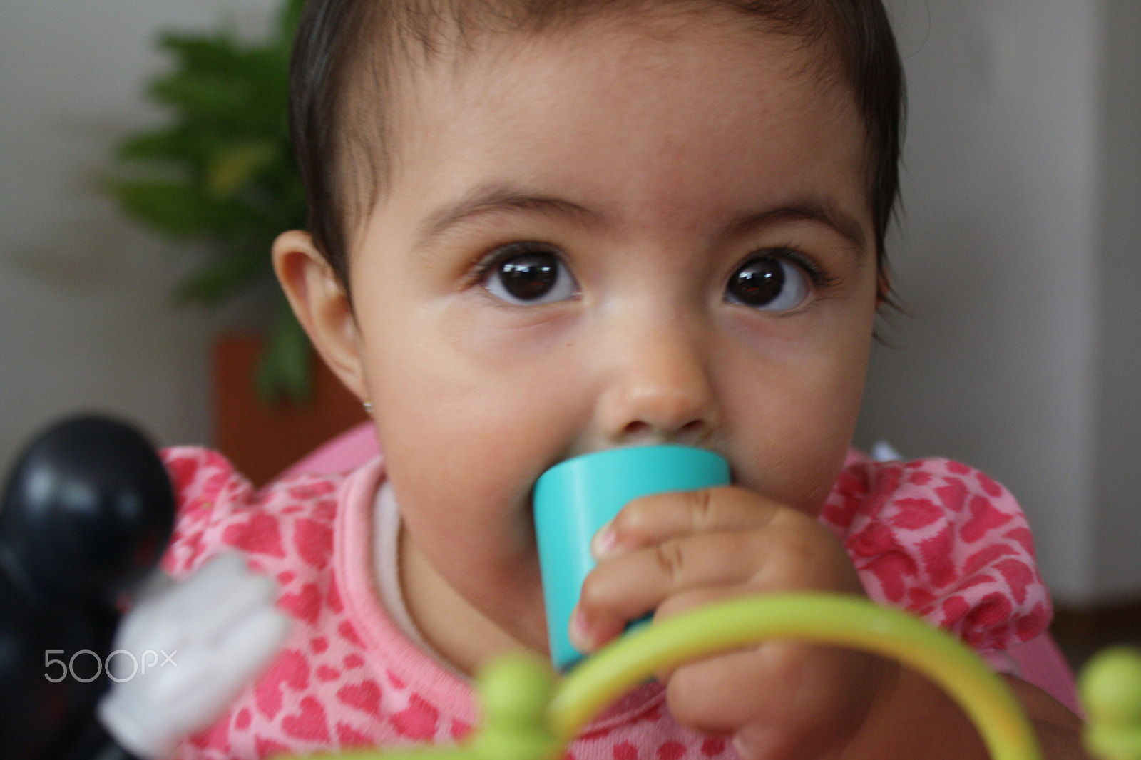 Canon EOS 1000D (EOS Digital Rebel XS / EOS Kiss F) sample photo. Summerfeels photography