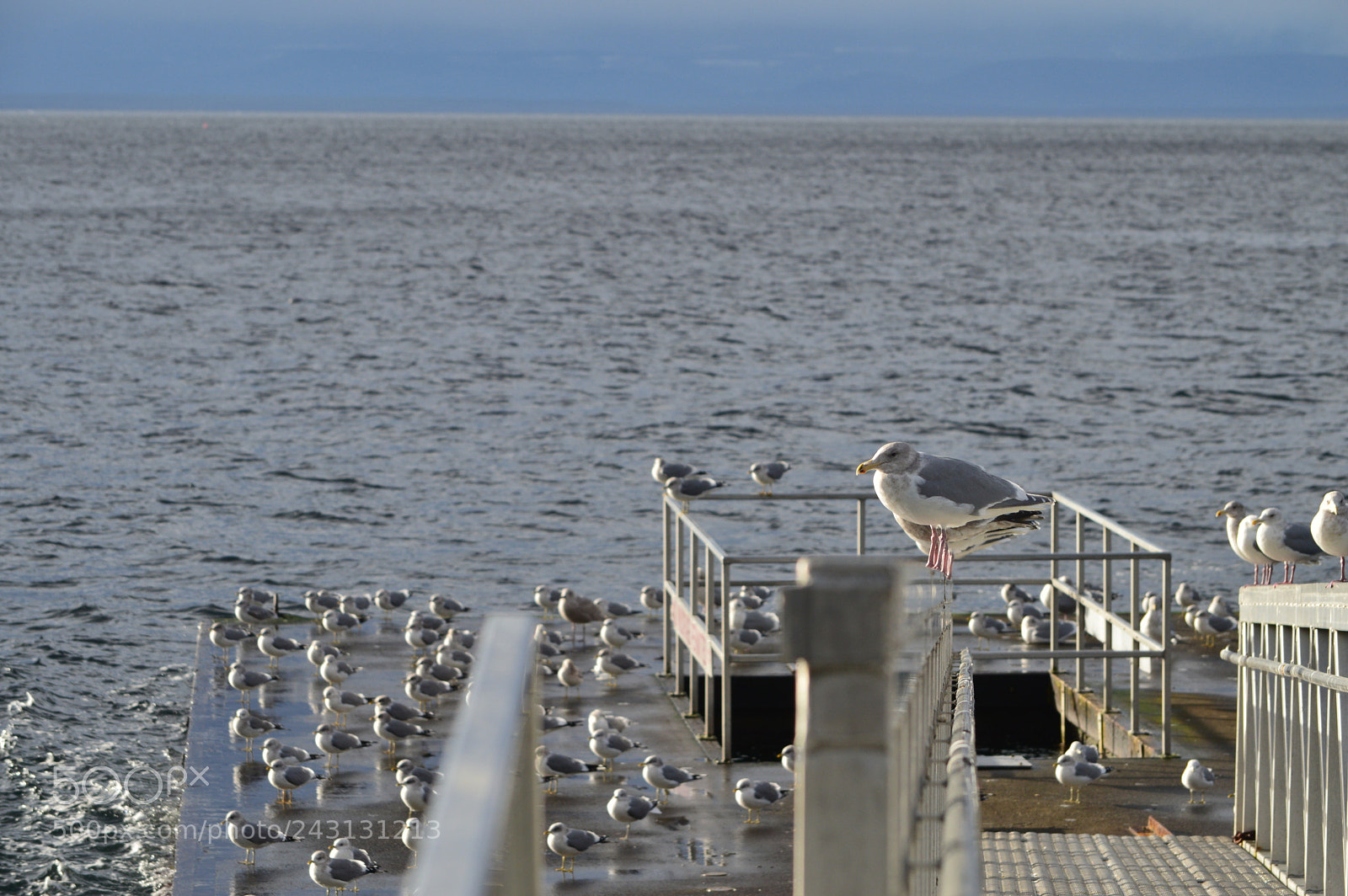 Nikon D3200 sample photo. Meeting photography