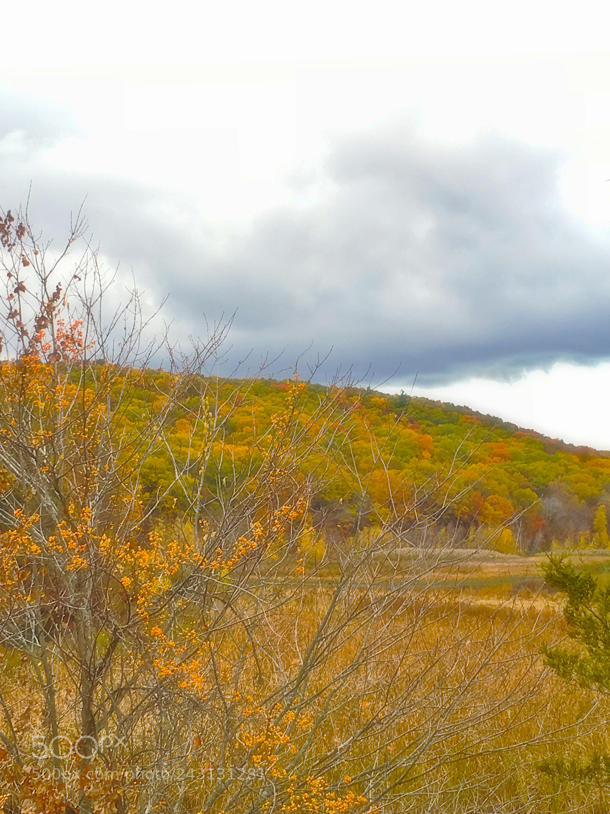 Apple iPhone 6s sample photo. Fall foliage by the photography