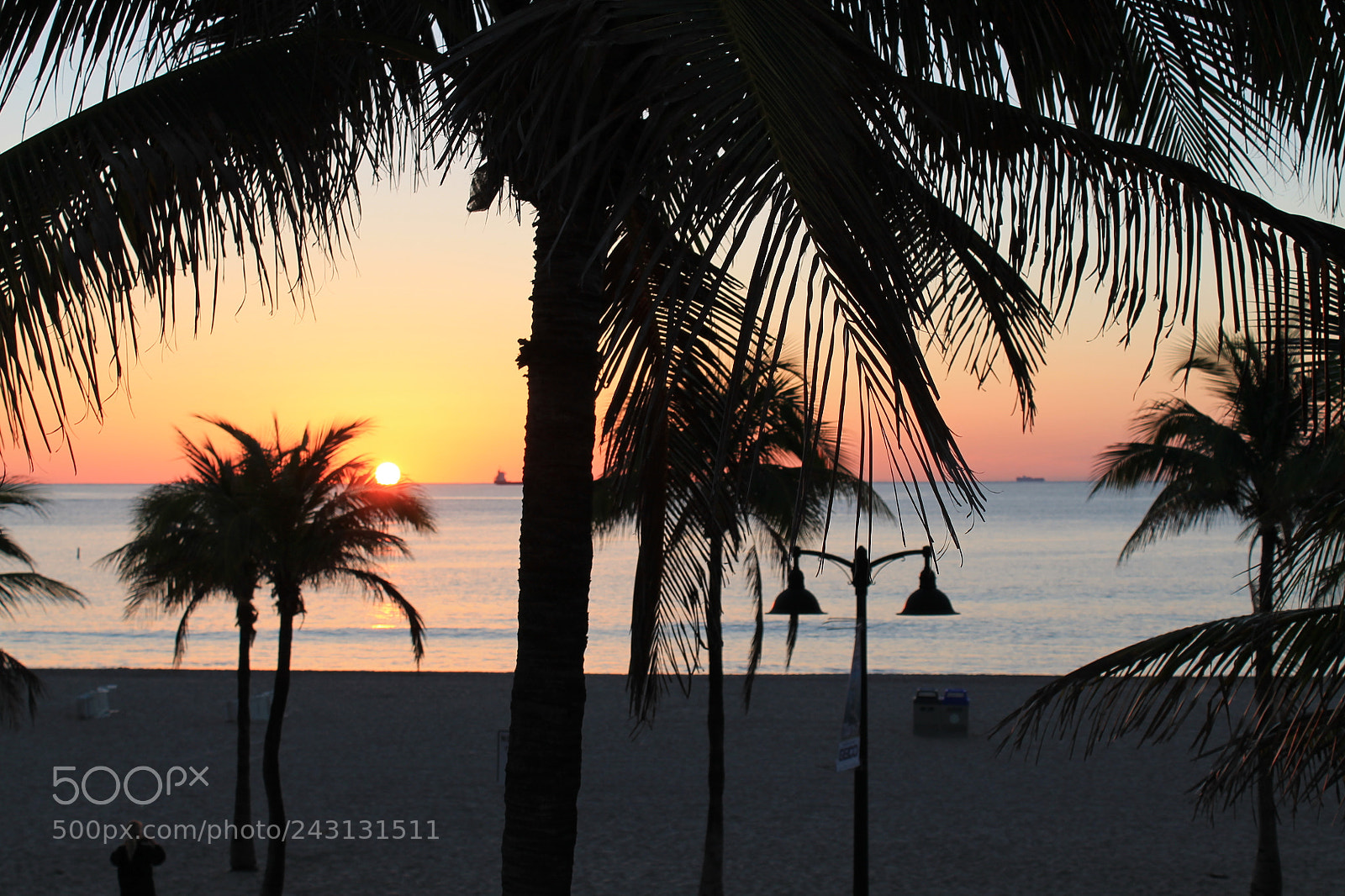 Canon EOS 1100D (EOS Rebel T3 / EOS Kiss X50) sample photo. Sunrise fl photography