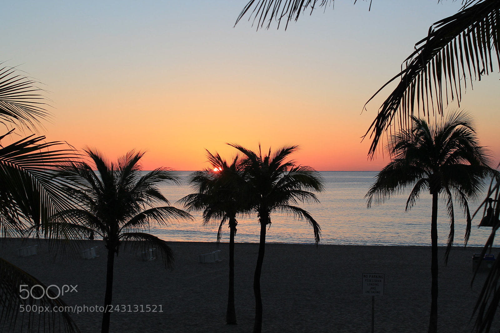 Canon EOS 1100D (EOS Rebel T3 / EOS Kiss X50) sample photo. Palms fl sun photography