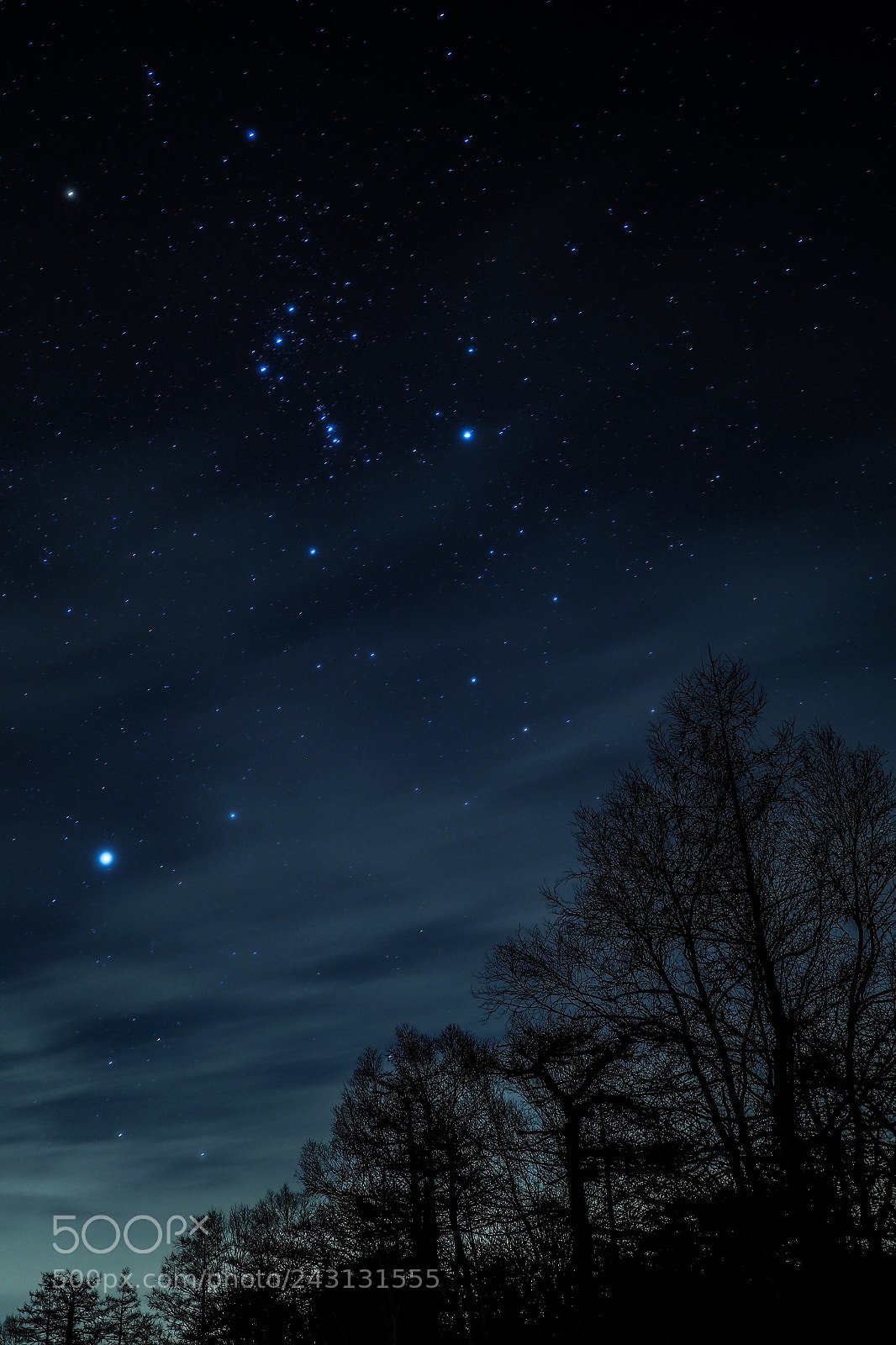 Olympus PEN-F sample photo. Orion photography
