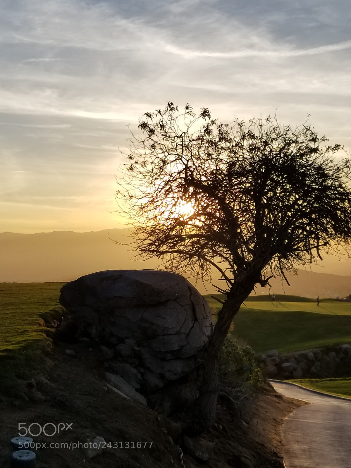 Samsung Galaxy S8+ sample photo. Untitled photography