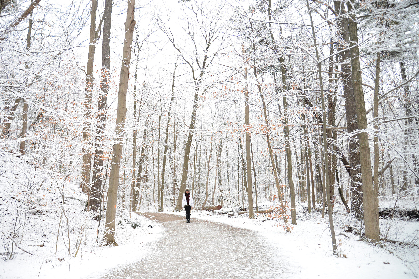 Nikon D600 sample photo. Winter wonderland photography