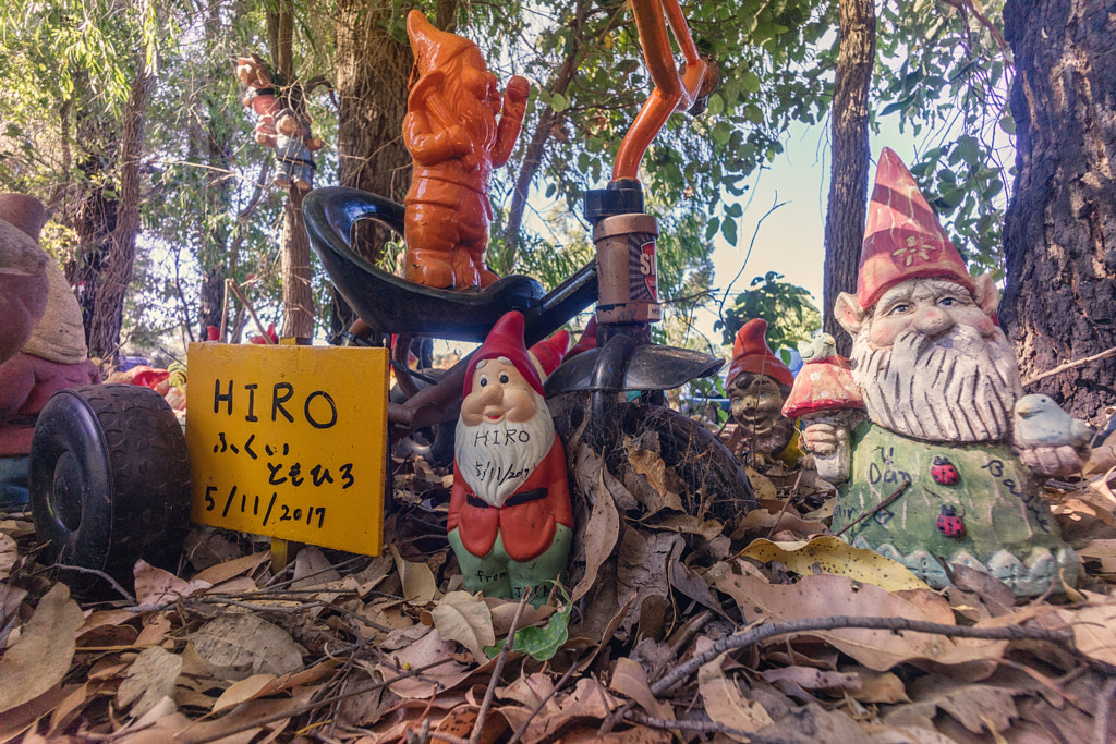 Gnomesville by Paul Amyes on 500px.com