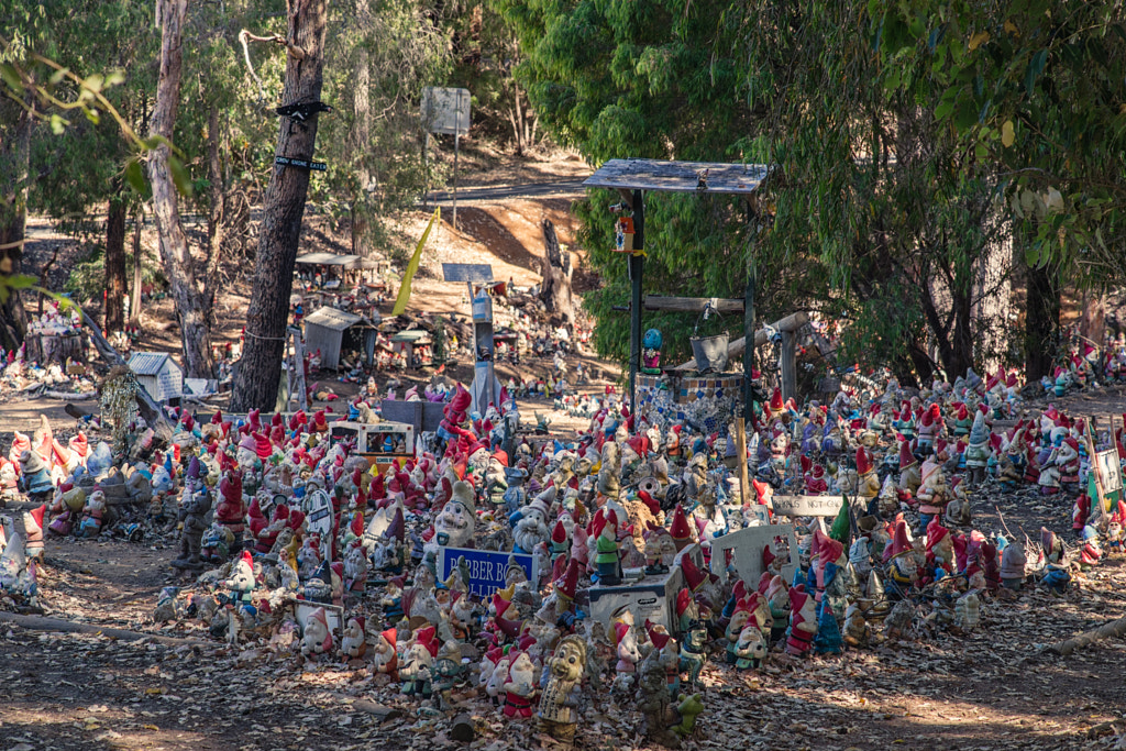 Gnomesville by Paul Amyes on 500px.com