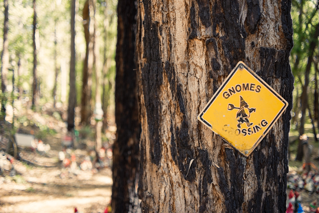 Gnomesville by Paul Amyes on 500px.com