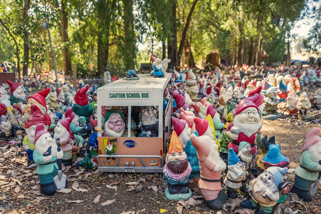 Gnomesville by Paul Amyes on 500px.com