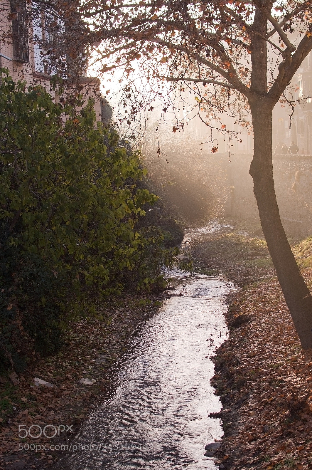 Nikon D7100 sample photo. River in afternoon sunhaze photography