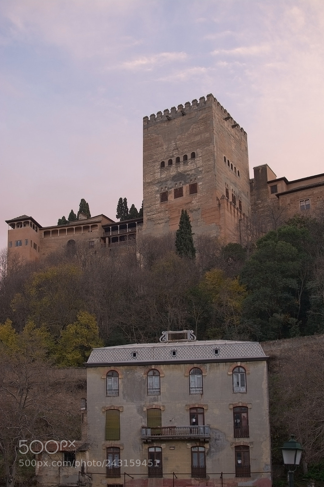 Nikon D7100 sample photo. Alhambra palace details at photography