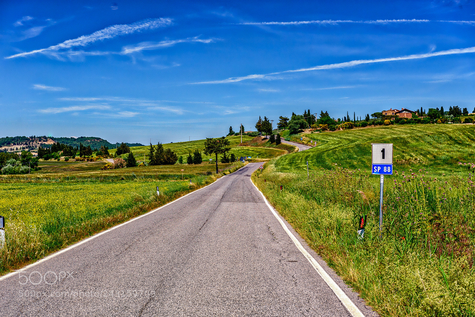 Nikon D810 sample photo. Roads in tuscany italy ! photography