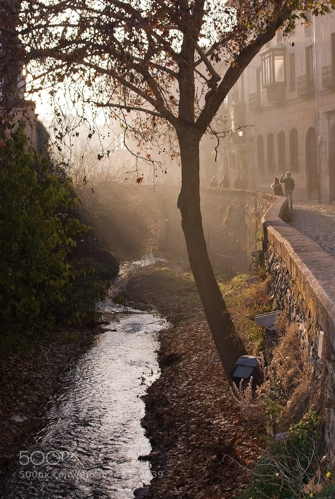 Nikon D7100 sample photo. Tree and river along photography