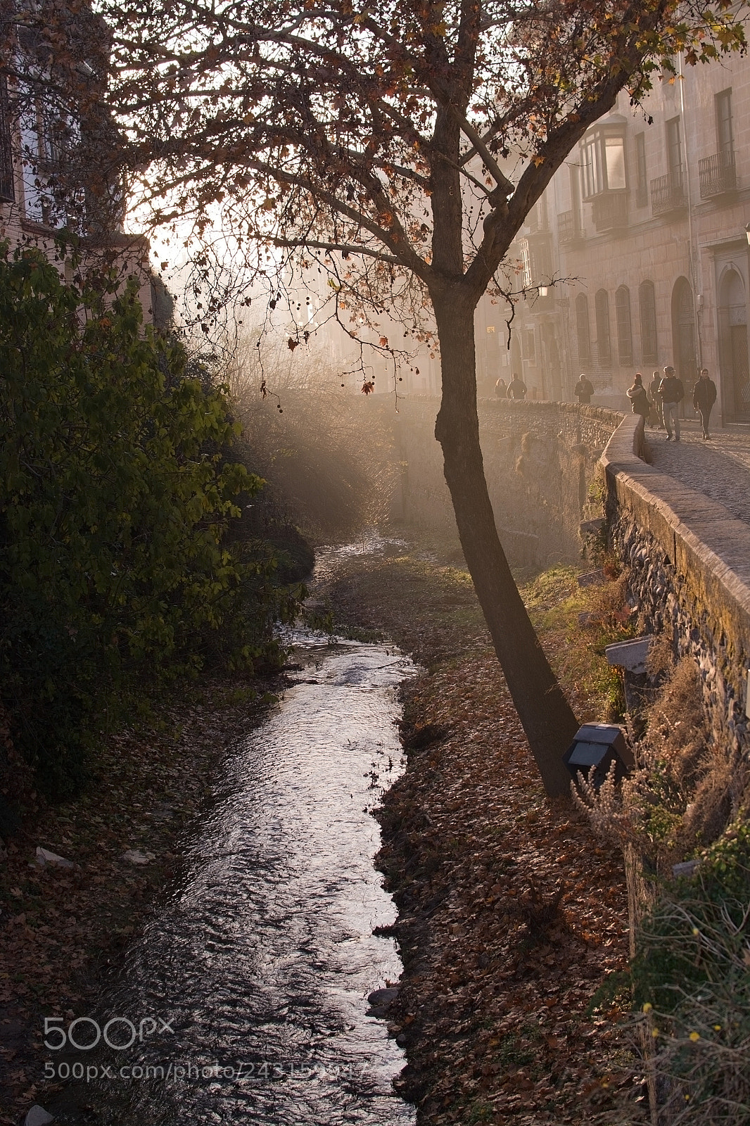 Nikon D7100 sample photo. River in afternoon sunhaze photography