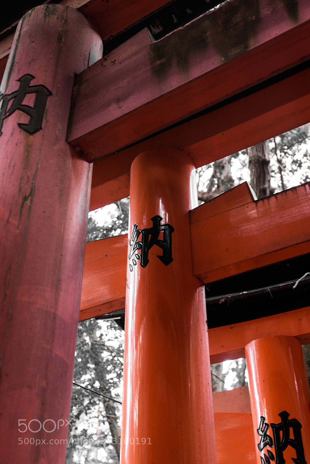 Nikon D610 sample photo. Offer photography
