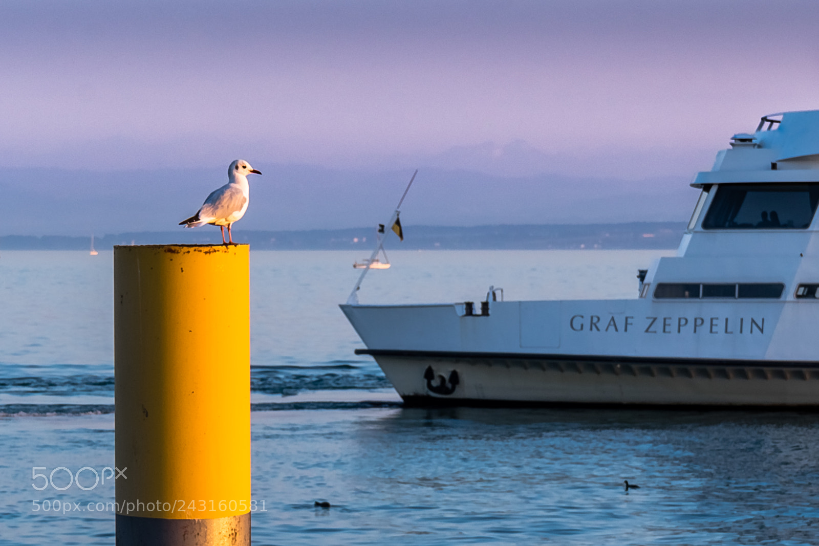 Sony a7 II sample photo. Die m we und photography