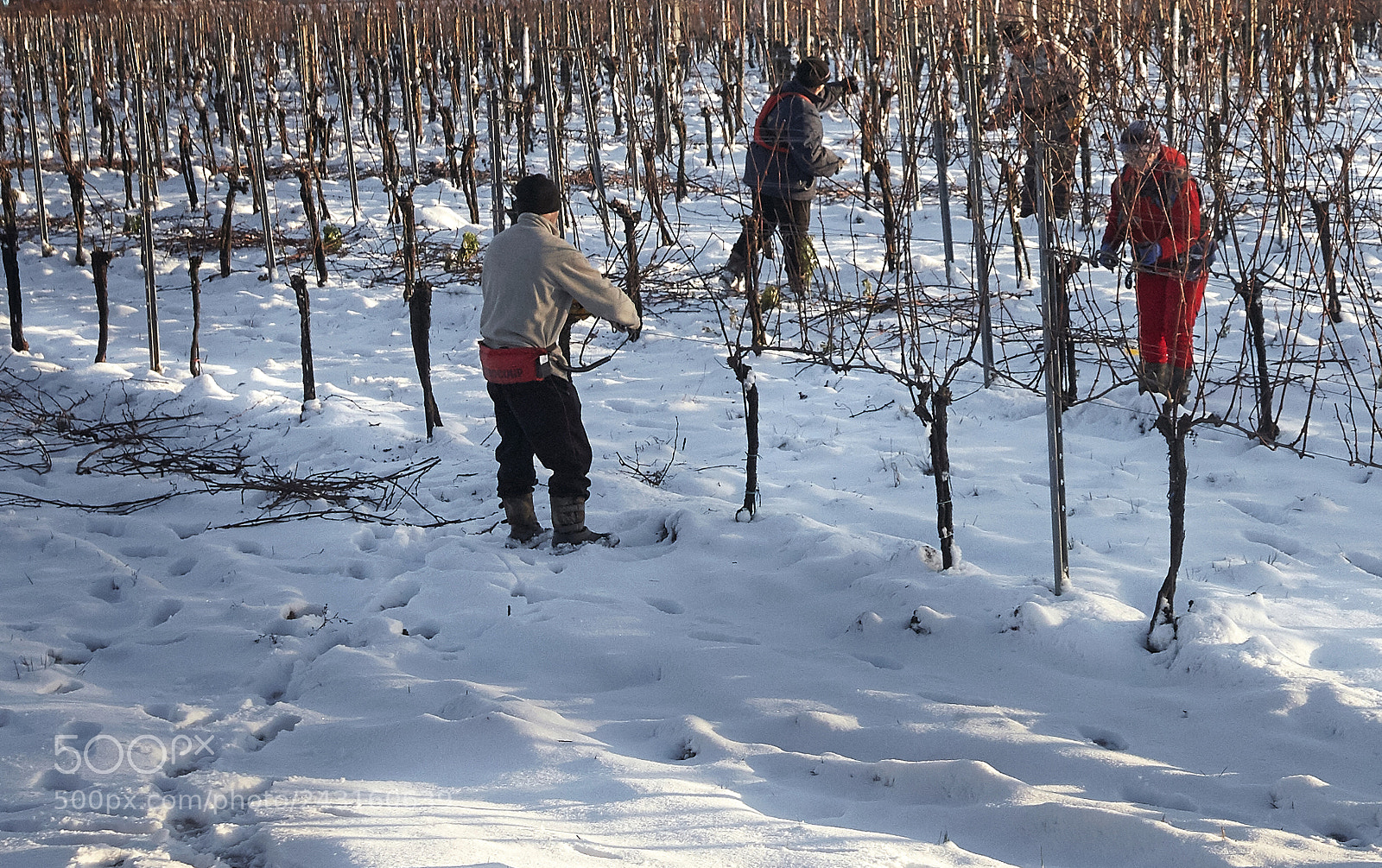 Canon EOS 5D sample photo. Winter cut photography