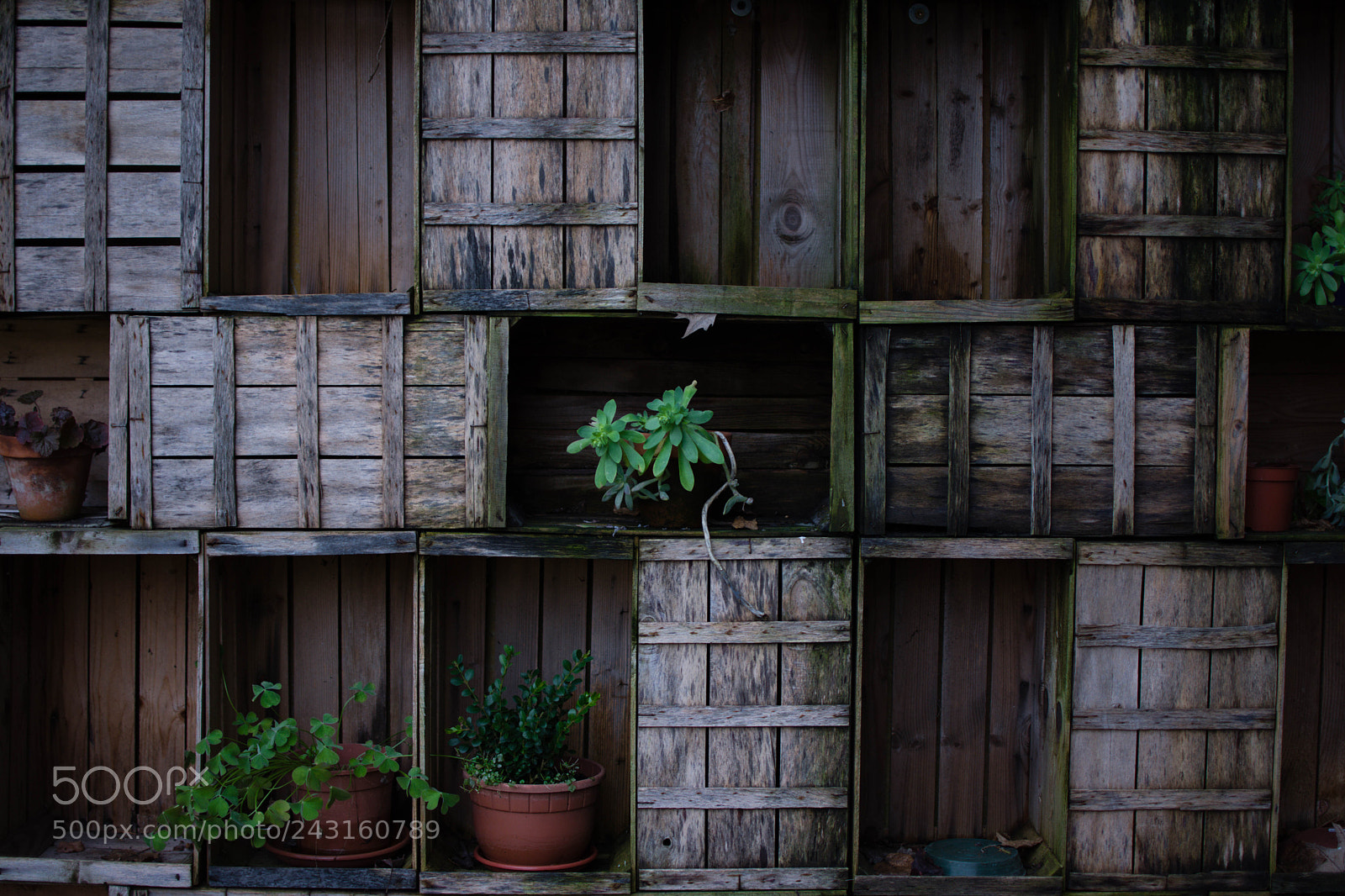 Nikon D7200 sample photo. Untitled photography