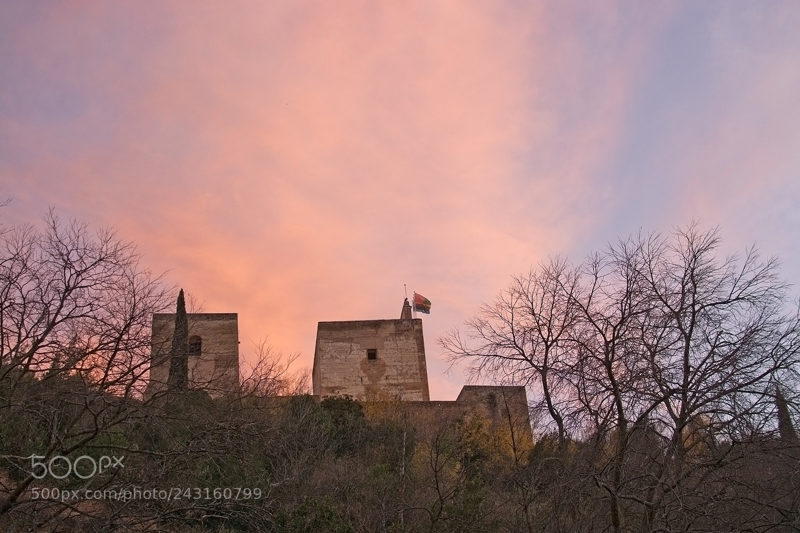 Nikon D7100 sample photo. Alhambra palace details at photography