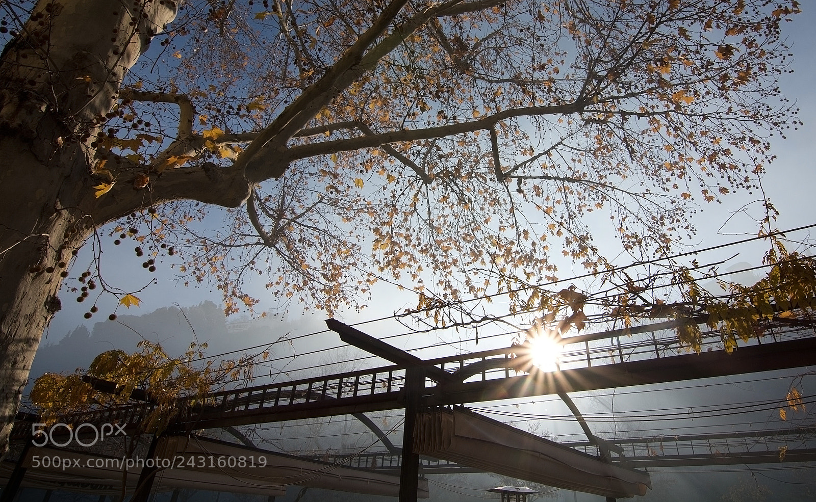 Nikon D7100 sample photo. View along the carrera photography