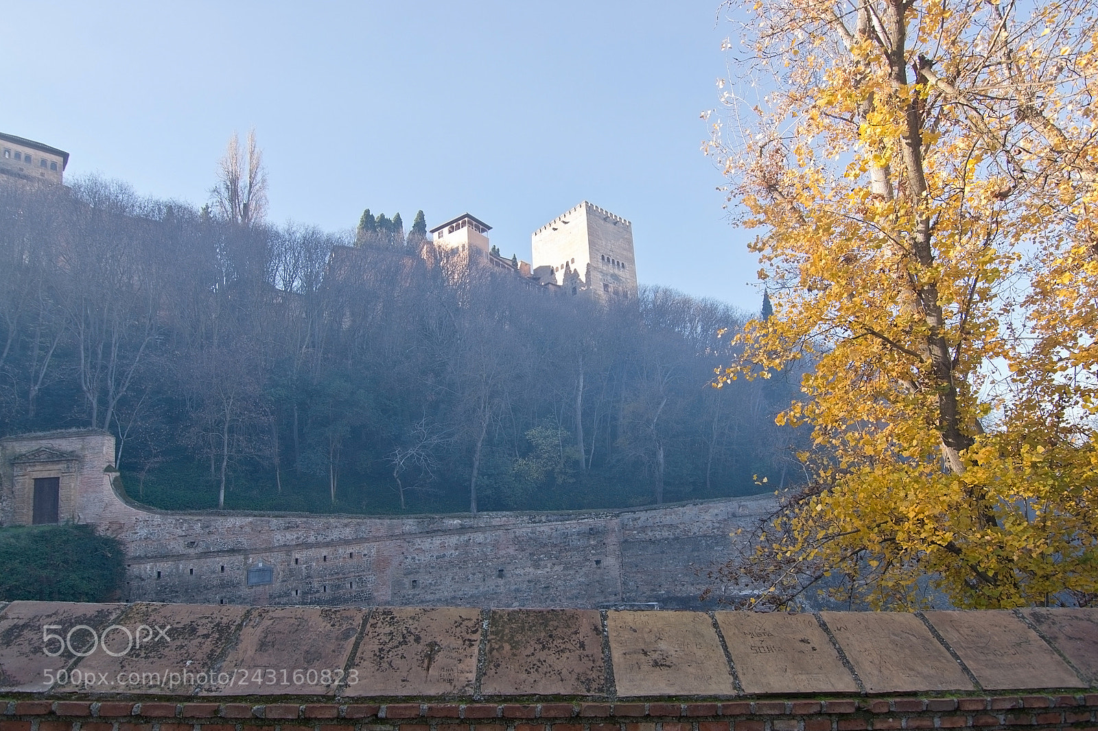 Nikon D7100 sample photo. Alhambra view with yellow photography