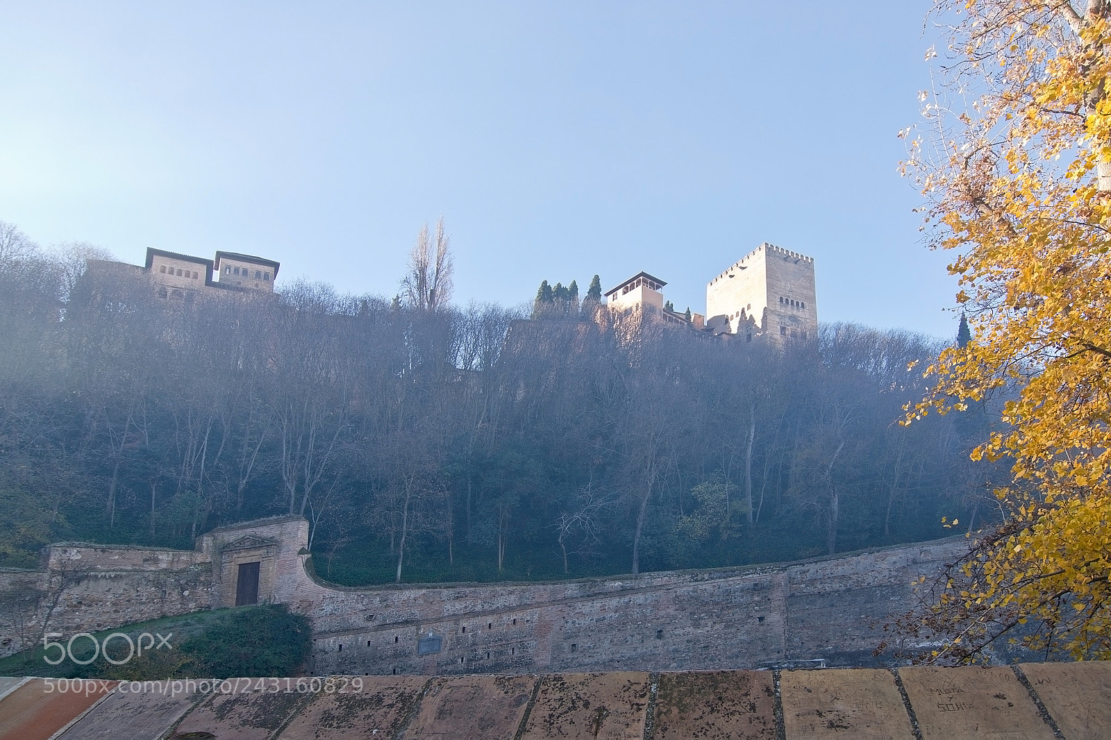 Nikon D7100 sample photo. Alhambra view with yellow photography