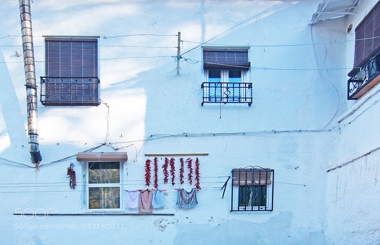 Nikon D7100 sample photo. Red peppers and laundry photography