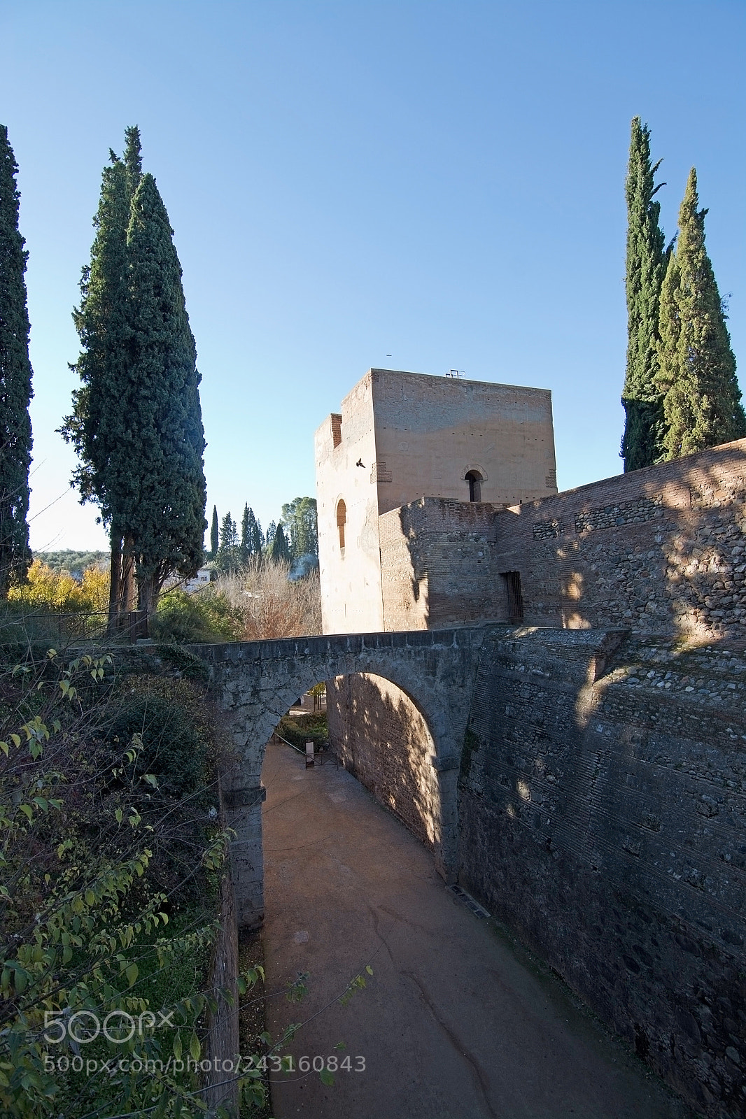 Nikon D7100 sample photo. Alhambra interior details photography