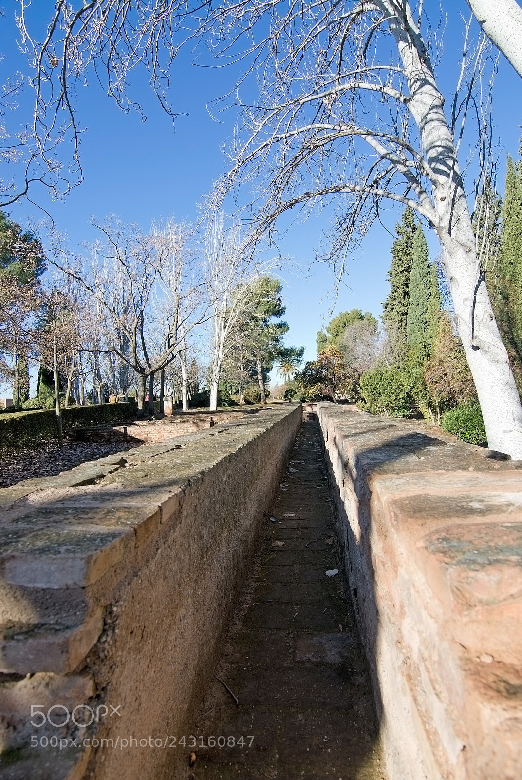 Nikon D7100 sample photo. Alhambra interior details photography