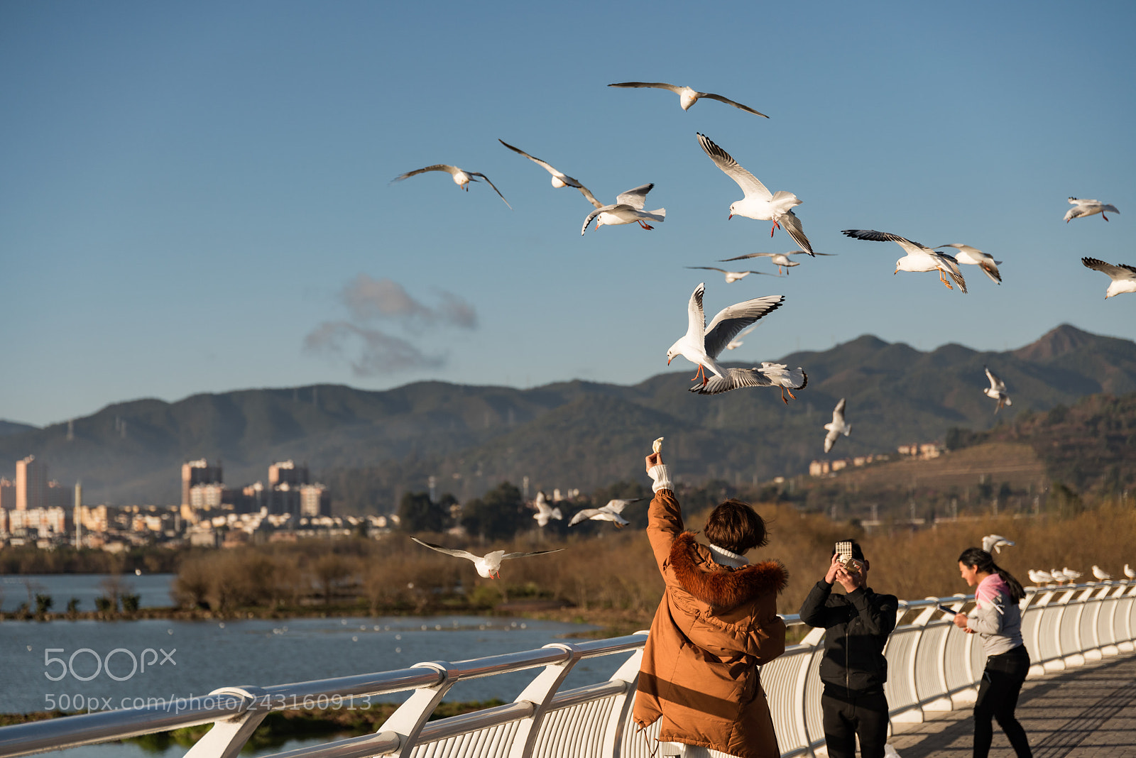 Nikon D810 sample photo. Visitors are feeding the photography