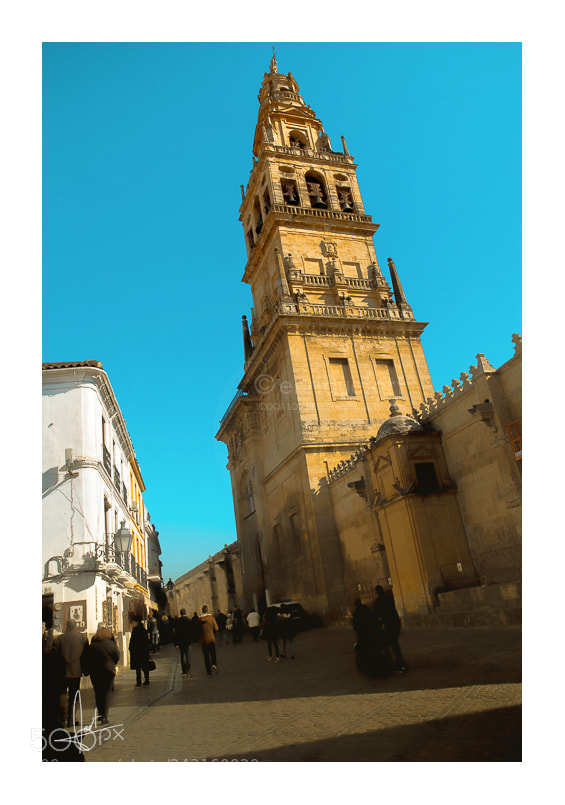 Nikon D7100 sample photo. Córdoba photography
