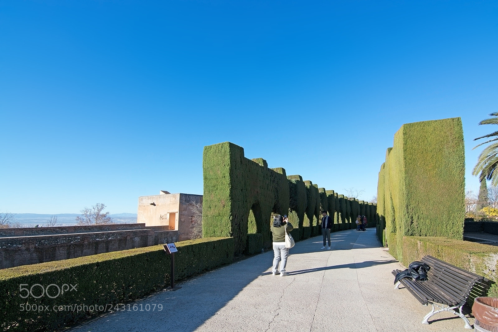 Nikon D7100 sample photo. Alhambra interior details photography