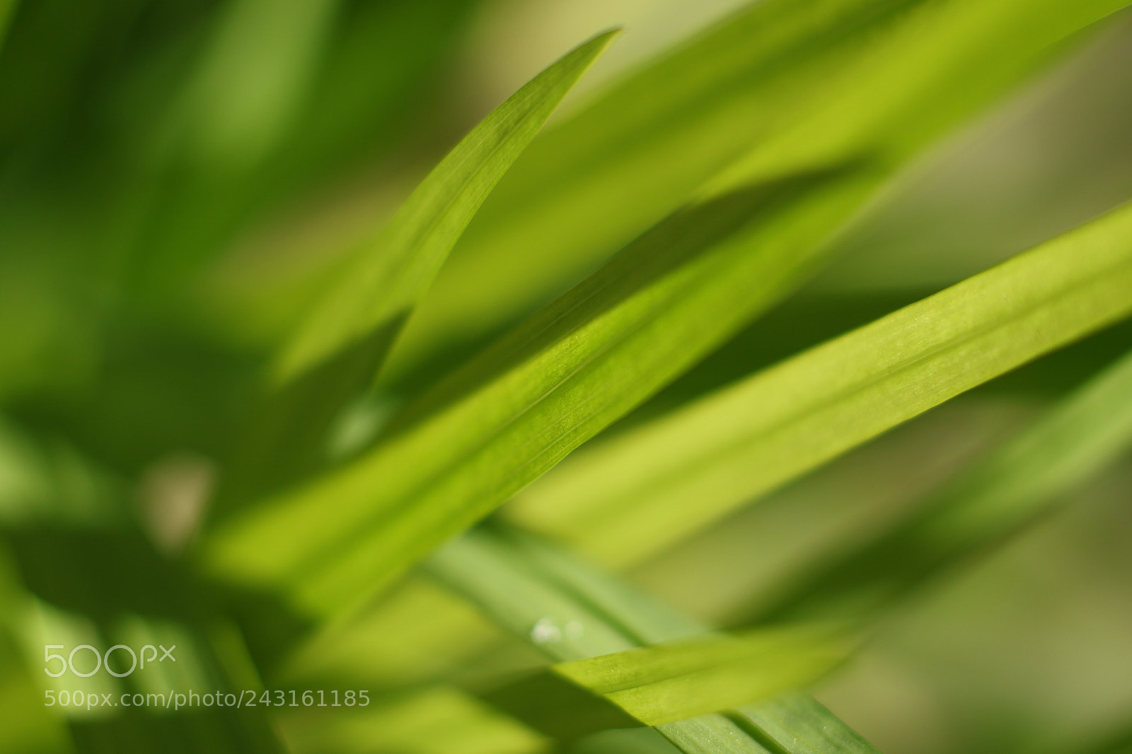 Canon EOS M3 sample photo. Untitled photography