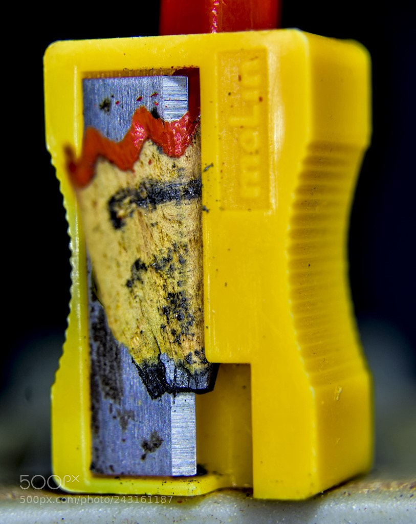 Nikon D7200 sample photo. Sacando punta photography