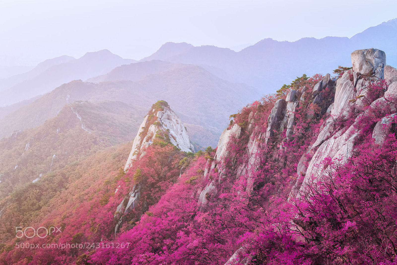 Nikon D810 sample photo. Colorful mountain in autumn photography