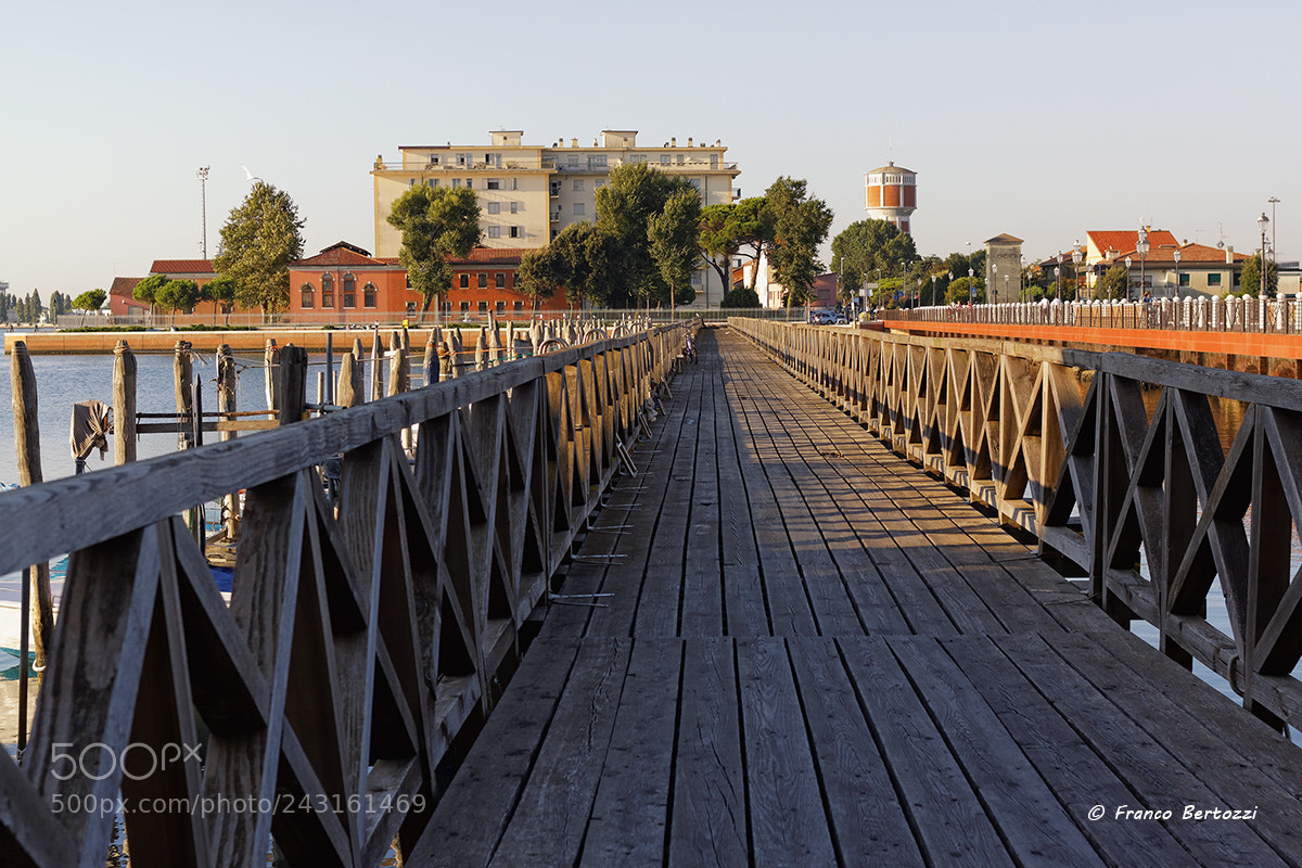 Canon EOS 50D sample photo. Chioggia on the wooden photography