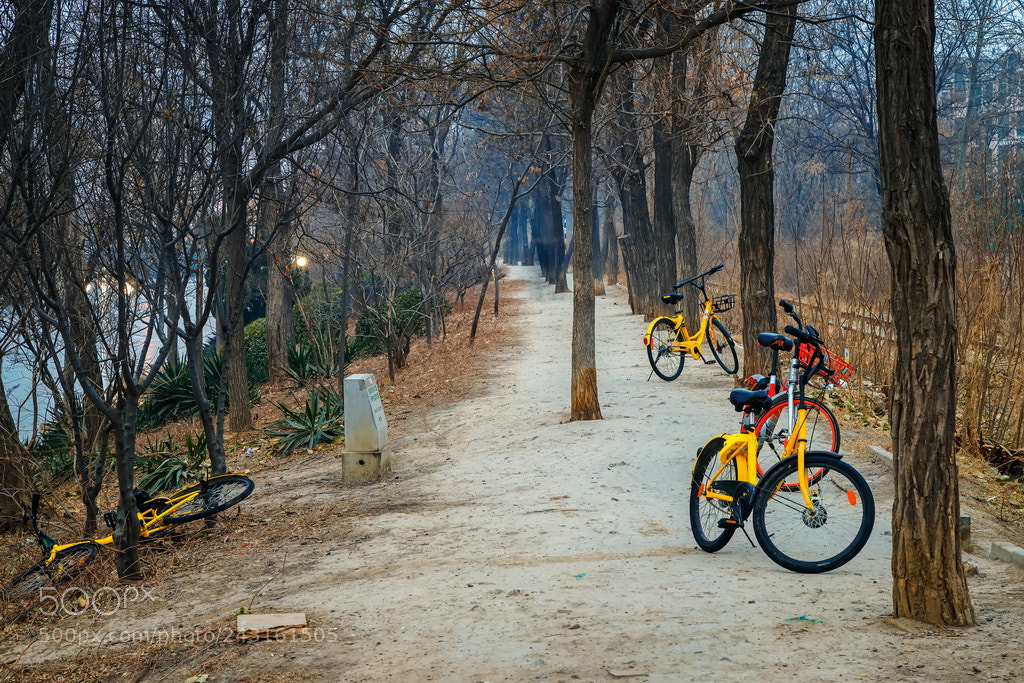 Canon EOS 6D Mark II sample photo. The be-left photography