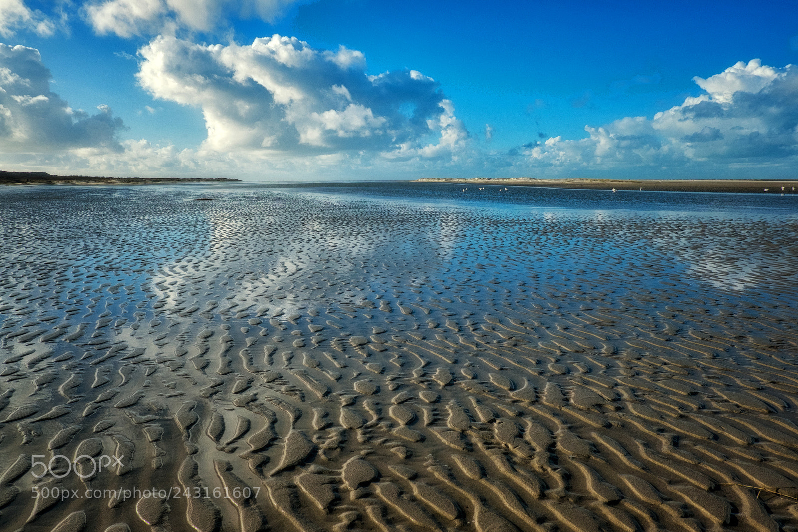 Fujifilm X-T1 sample photo. Reflections on the beach photography