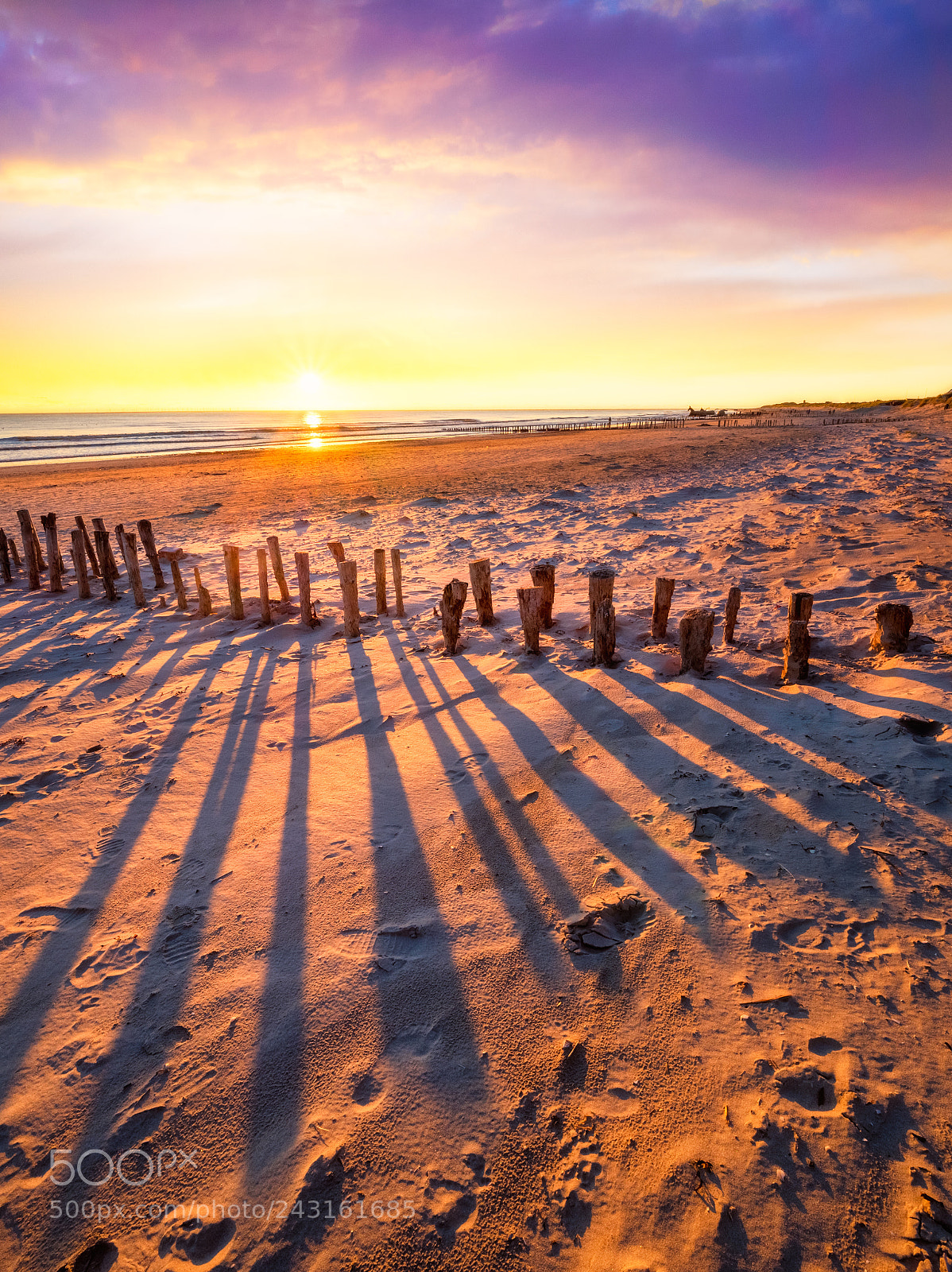 Olympus OM-D E-M1 Mark II sample photo. Colorful beach sunset in photography