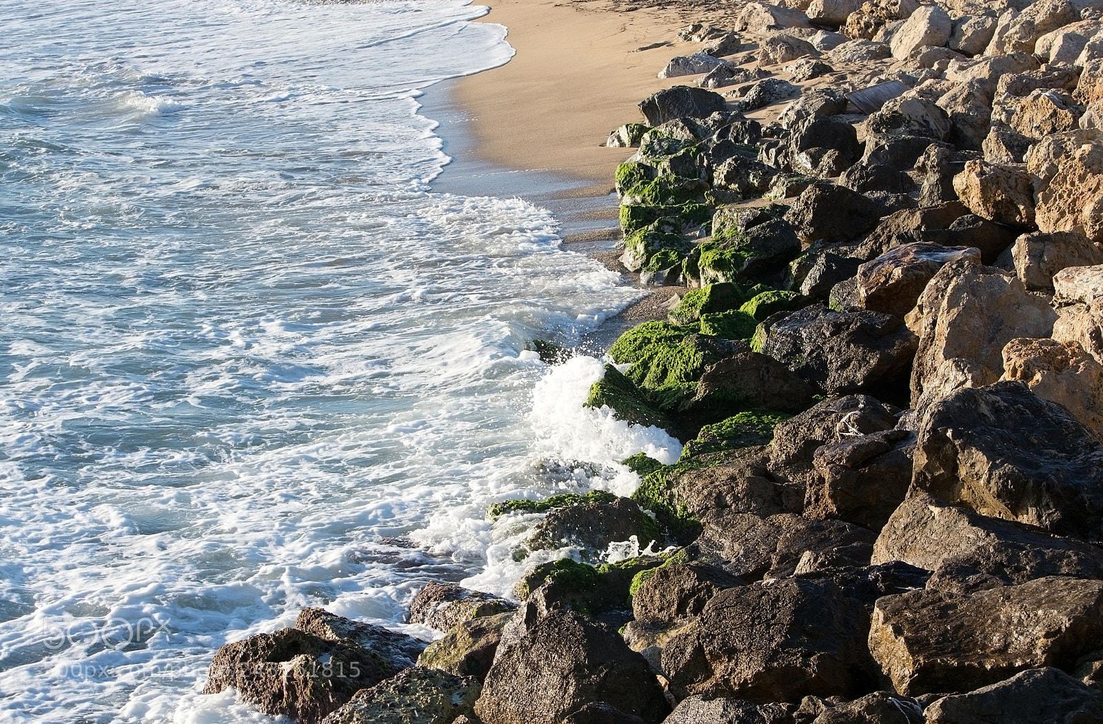 Nikon D7100 sample photo. Green mossy rocks and photography
