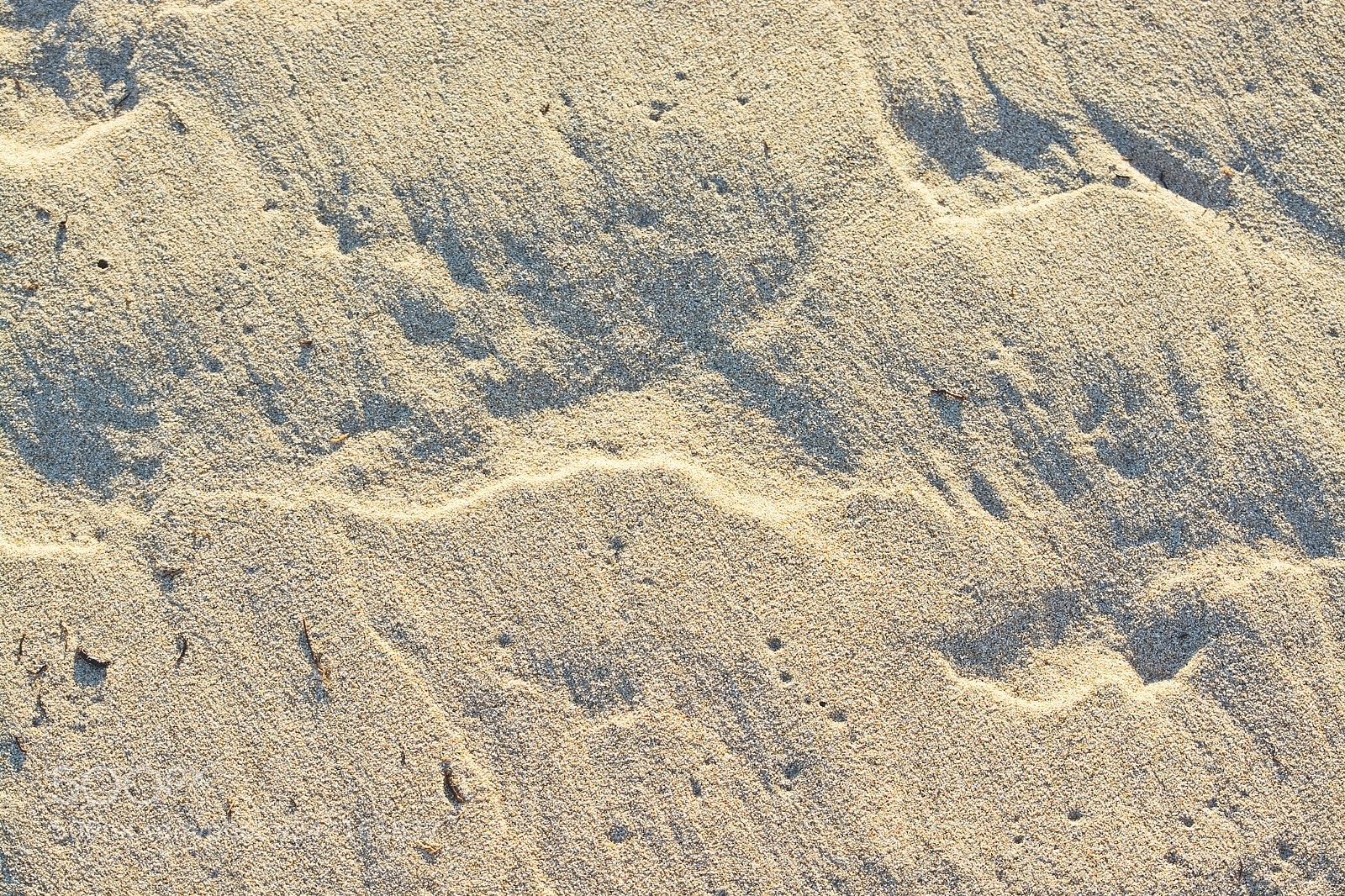 Nikon D7100 sample photo. Sandy beach detail lined photography