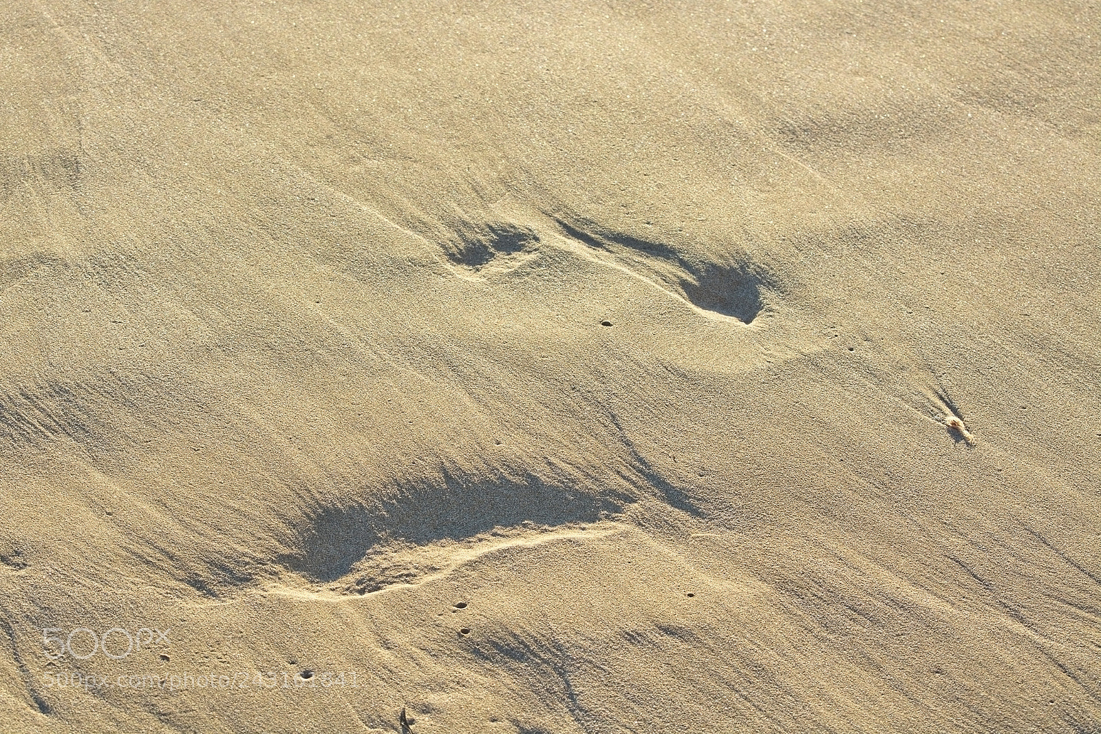 Nikon D7100 sample photo. Sandy beach detail lined photography