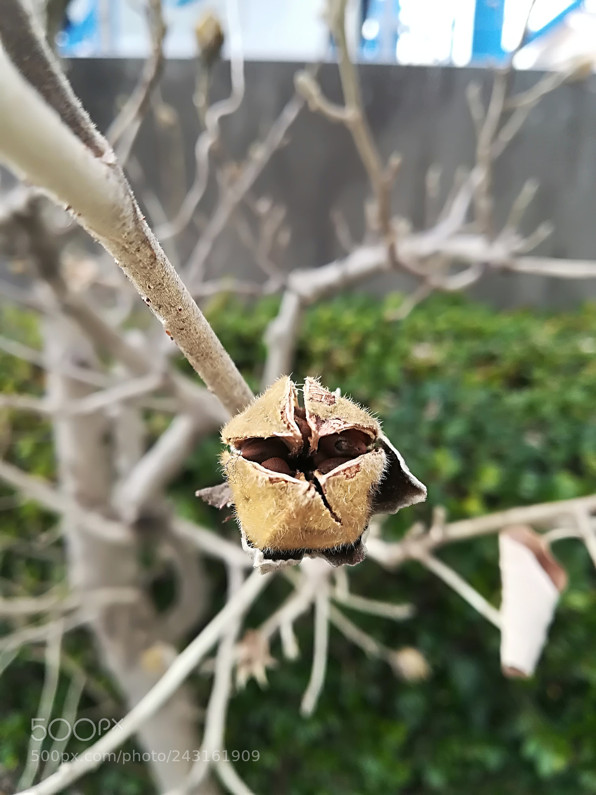 HUAWEI P10 lite sample photo. Untitled photography