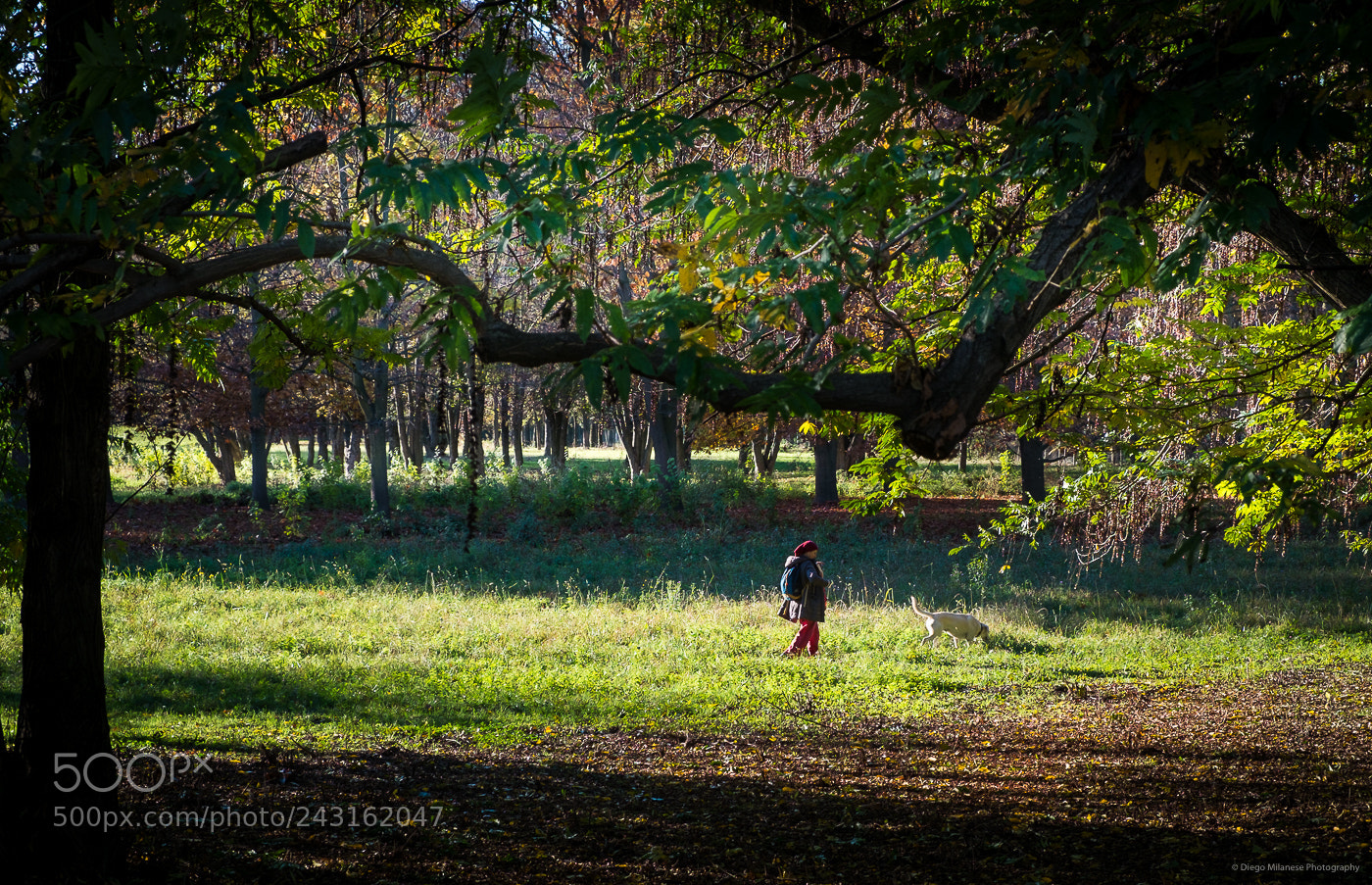 Fujifilm X-E1 sample photo. Walk photography
