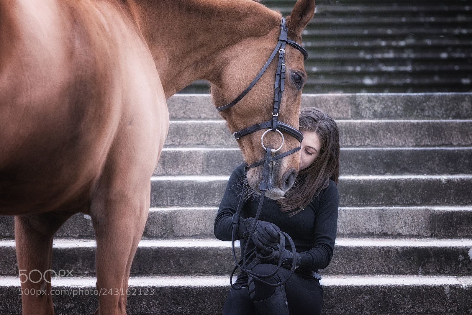 Nikon D800E sample photo. Sia photography
